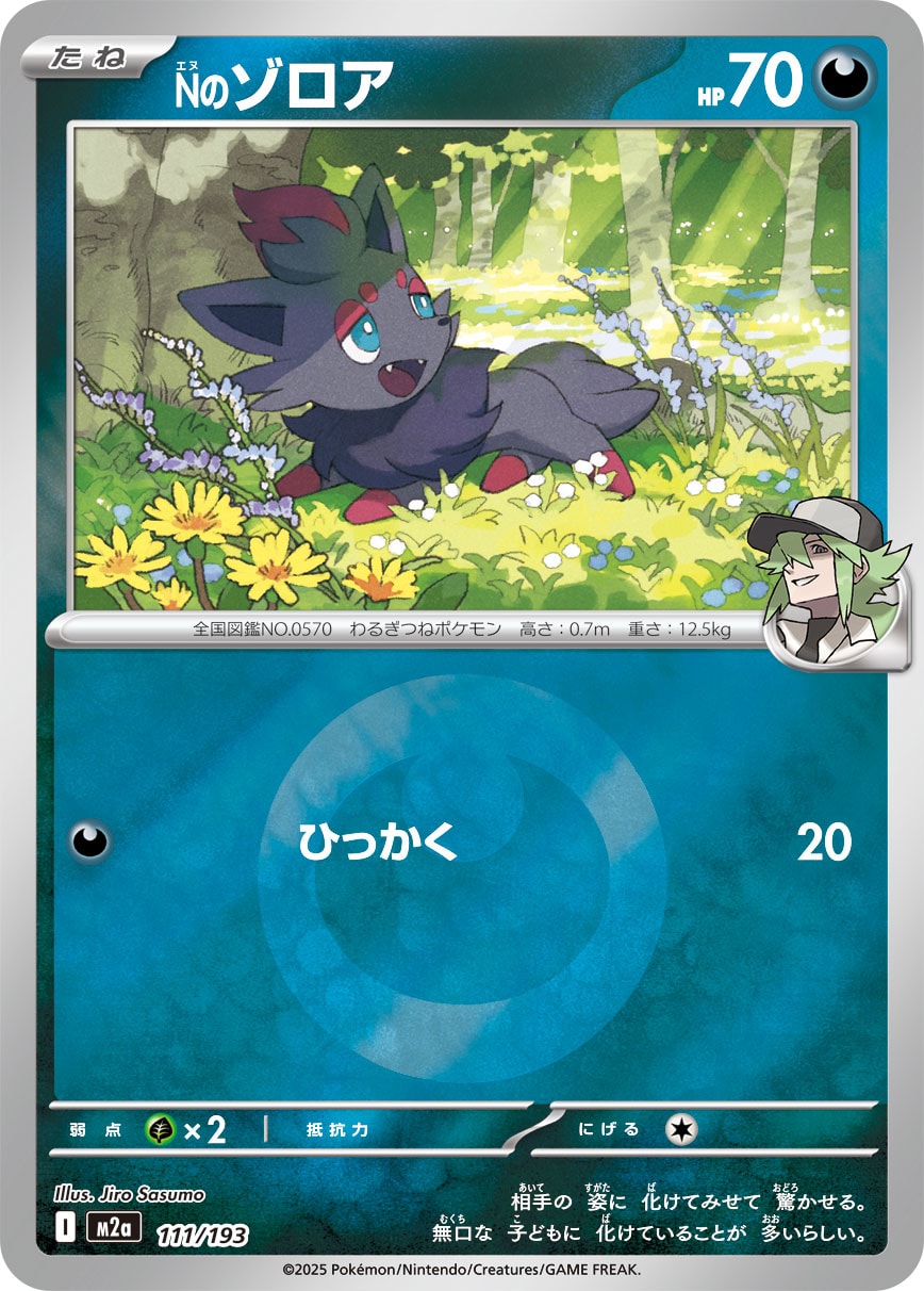 Nのゾロア(タイプミラー)[111/193][-][M2a]