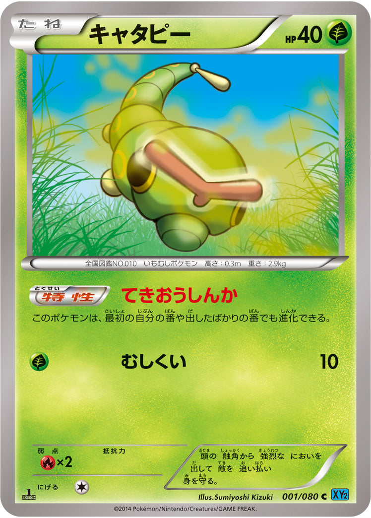 キャタピー[001/080][C][XY2]