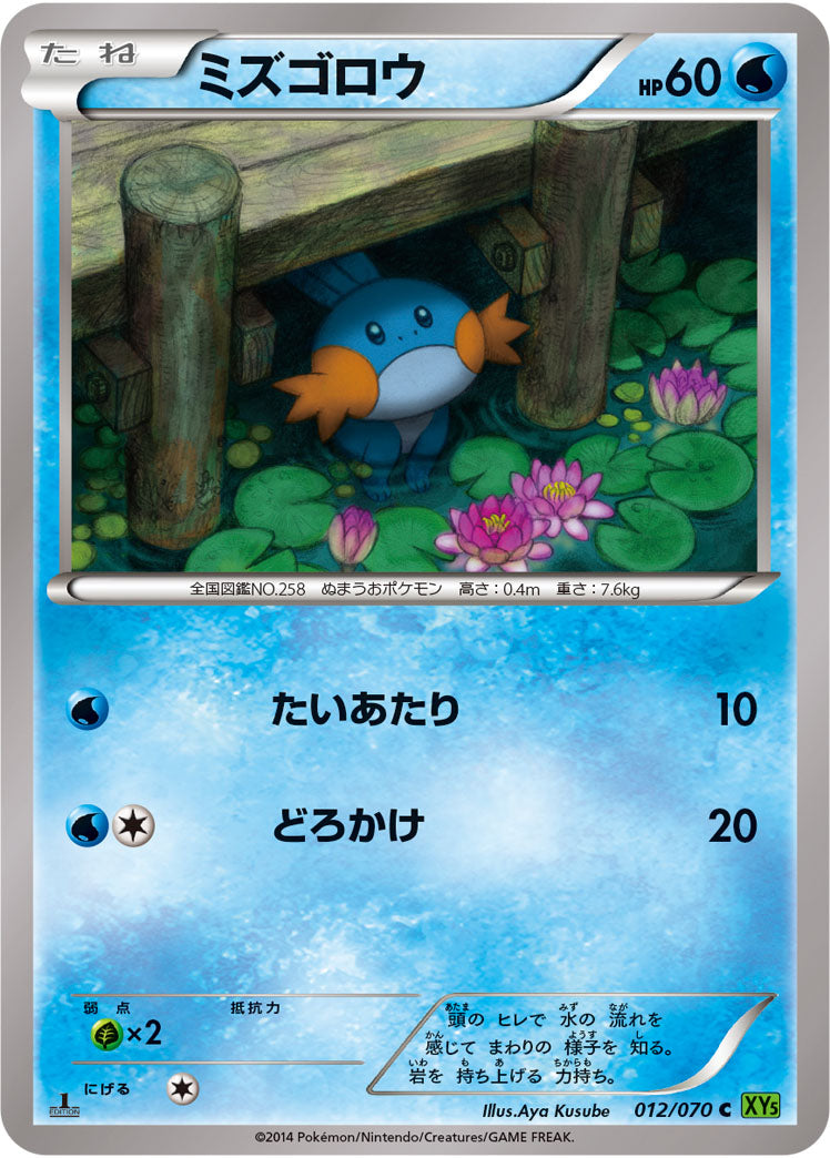 ミズゴロウ[012/070][C][XY5緑]