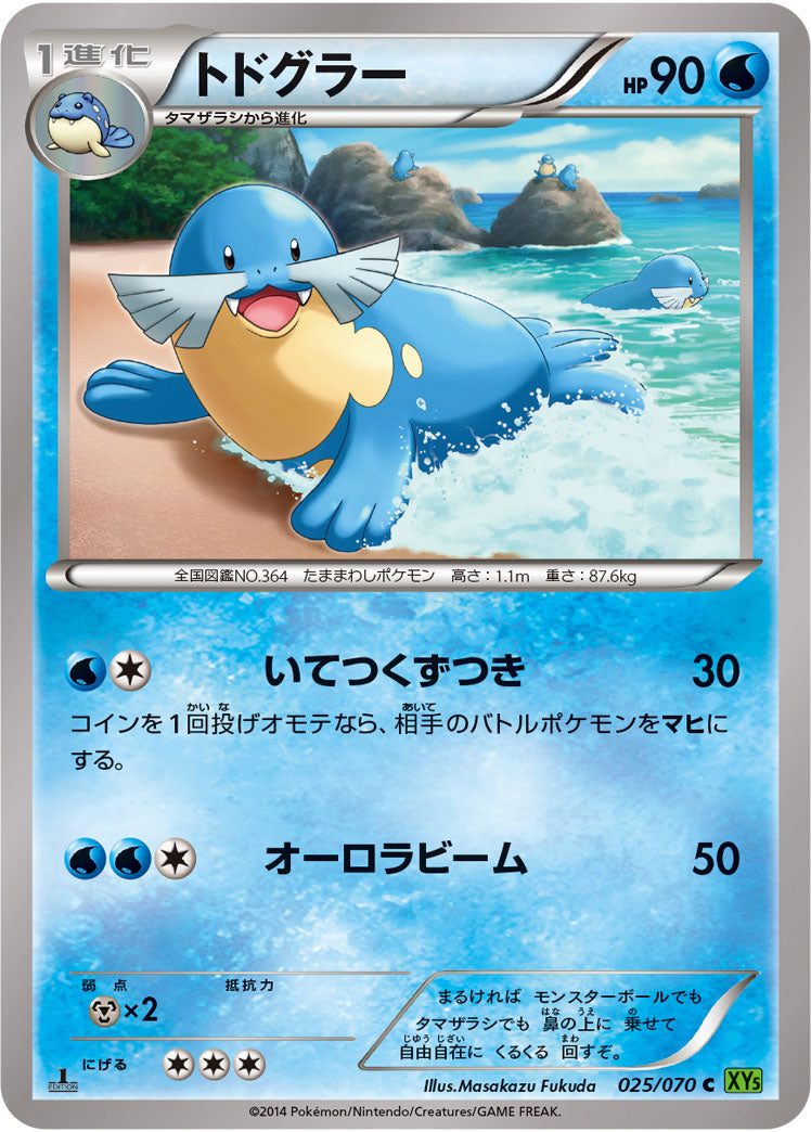 トドグラー[025/070][C][XY5緑]