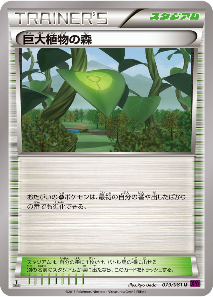 巨大植物の森[079/081][U][XY7]