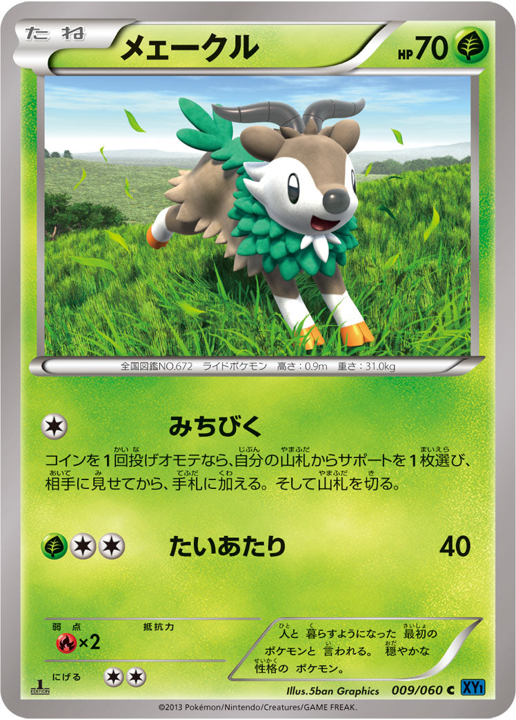 メェークル[009/060][C][XY1]