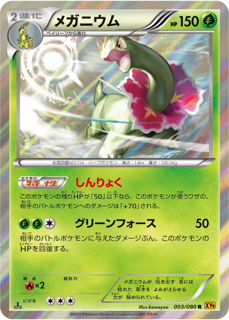 メガニウム[003/080][R][XY9]