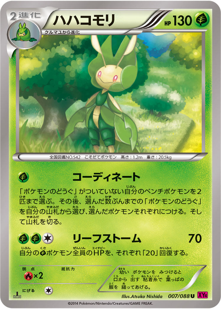 ハハコモリ[007/088][U][XY4]