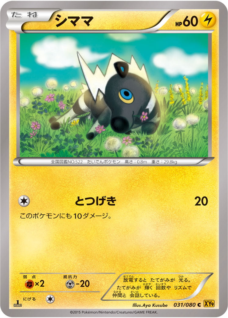 シママ[031/080][C][XY9]