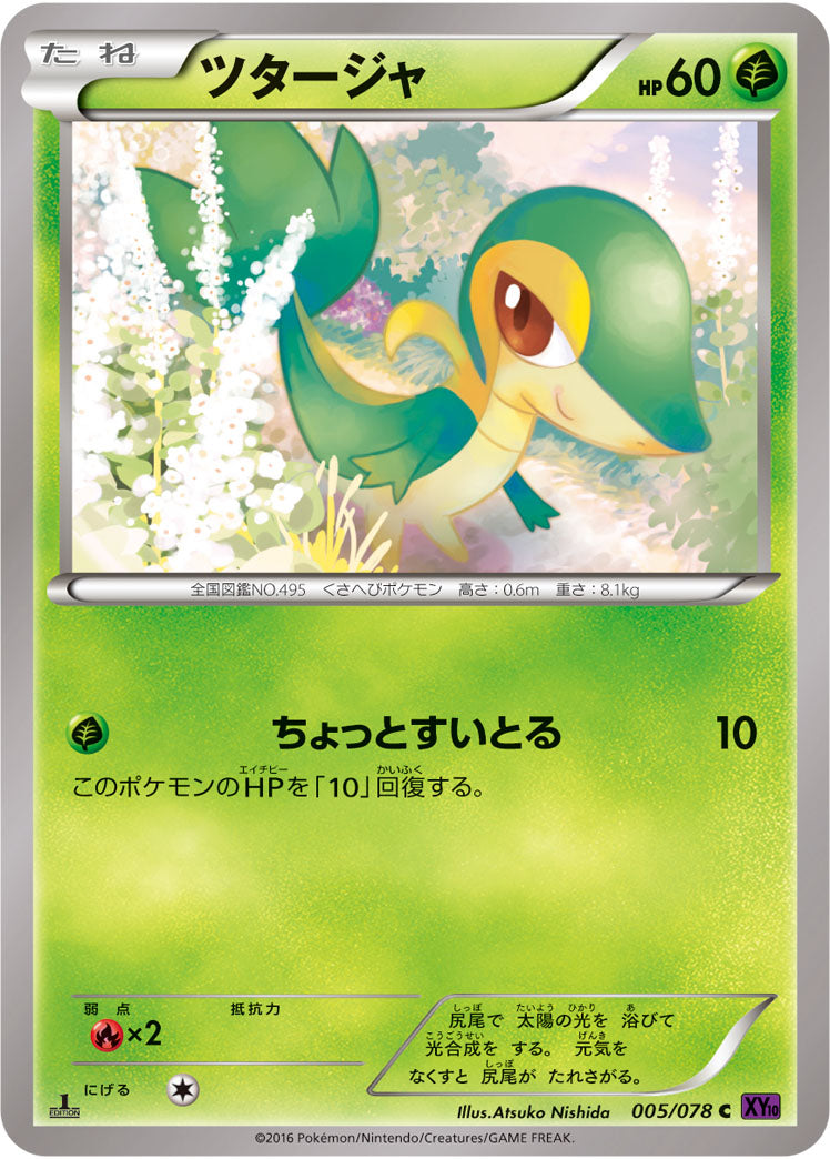 ツタージャ[005/078][C][XY10]