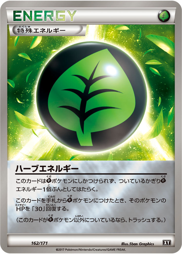 ハーブエネルギー[162/171][-][XY]