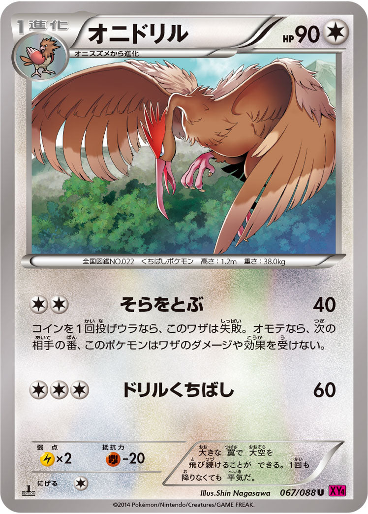オニドリル[067/088][U][XY4]