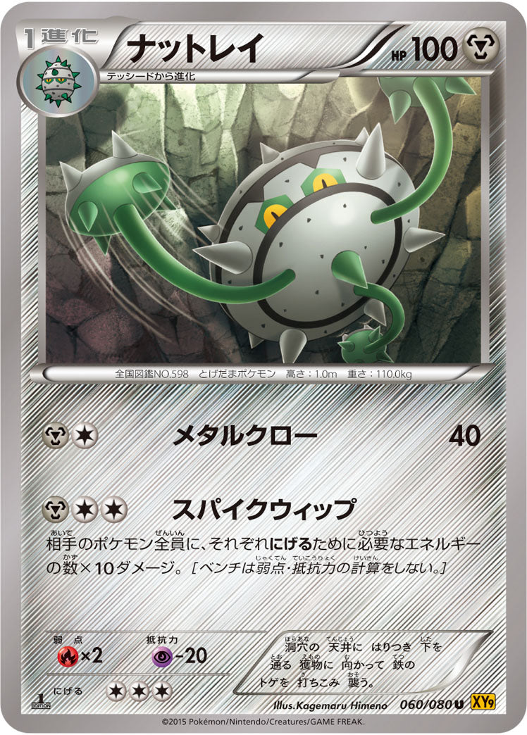 ナットレイ[060/080][U][XY9]