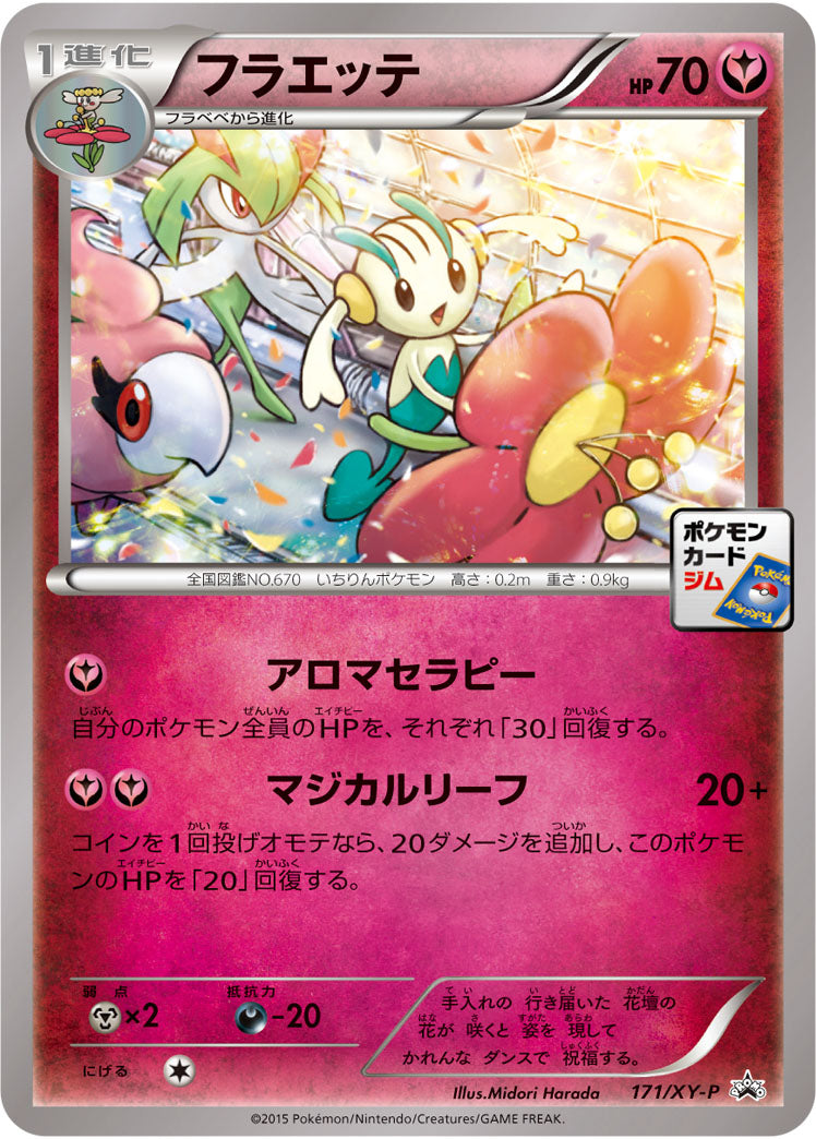 フラエッテ[171/XY-P][P][プロモ]