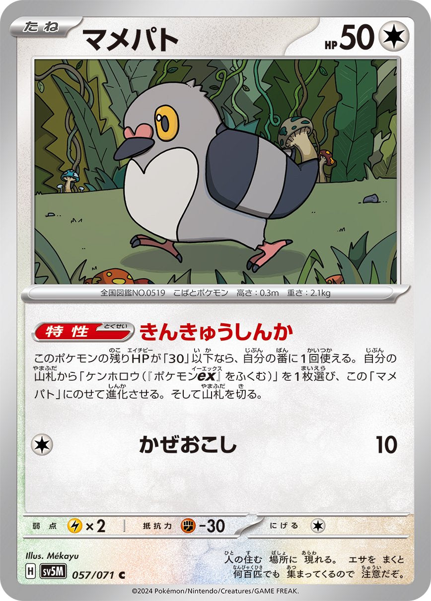 マメパト[057/071][C][SV5M]
