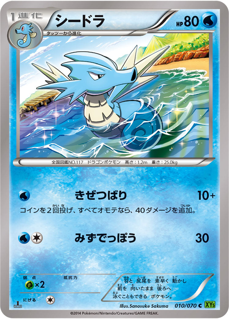 シードラ[010/070][C][XY5緑]