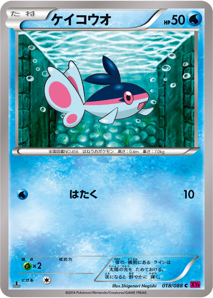 ケイコウオ[018/088][C][XY4]
